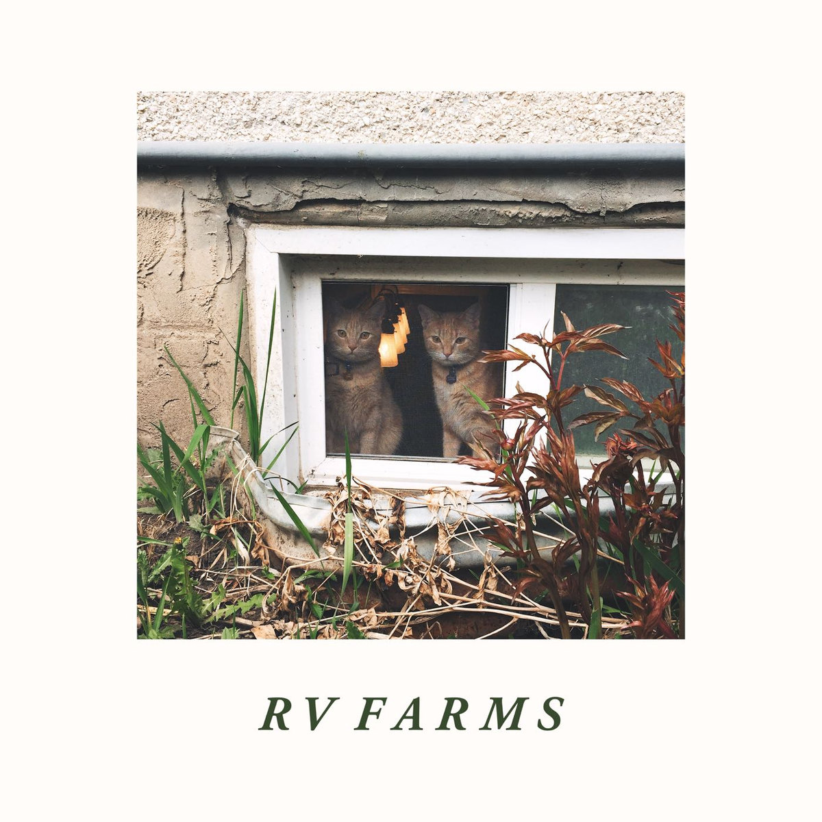 RV Farms release self-titled LP